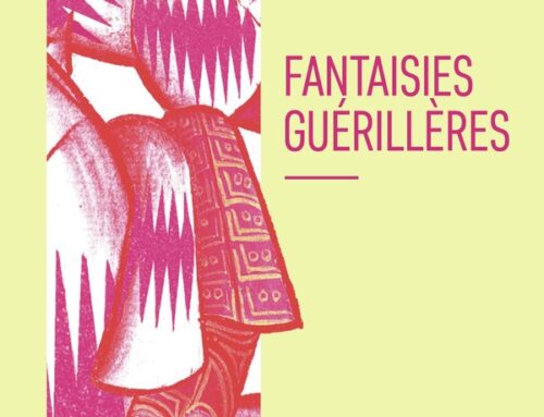 Fantaisies guérillères ♡ Guillaume Lebrun