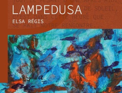 Un abri pour Lampedusa ♡ Elsa Régis