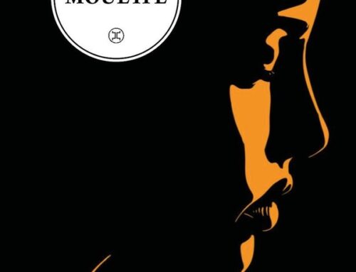 Mouette ♡ Dimitri Rouchon-Borie