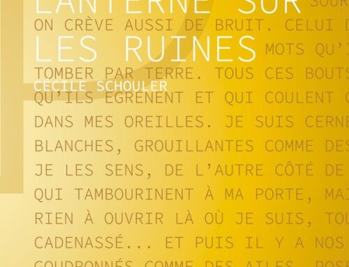 Comme une lanterne sur les ruines ♡ Cécile Schouler