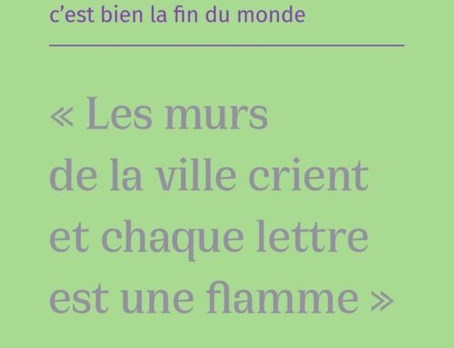 Sans oublier qu&rsquo;en plus c&rsquo;est bien la fin du monde ♡ Chloé Delaume