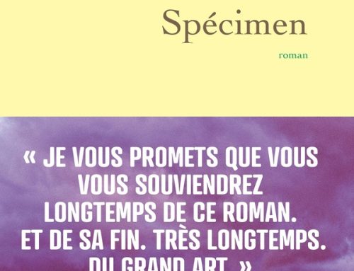Spécimen ♡ Pauline Claviere